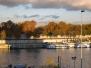  La Seine et les arbres du Parc Bercy